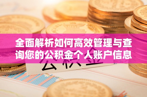 伊金霍洛旗全面解析如何高效管理与查询您的公积金个人账户信息